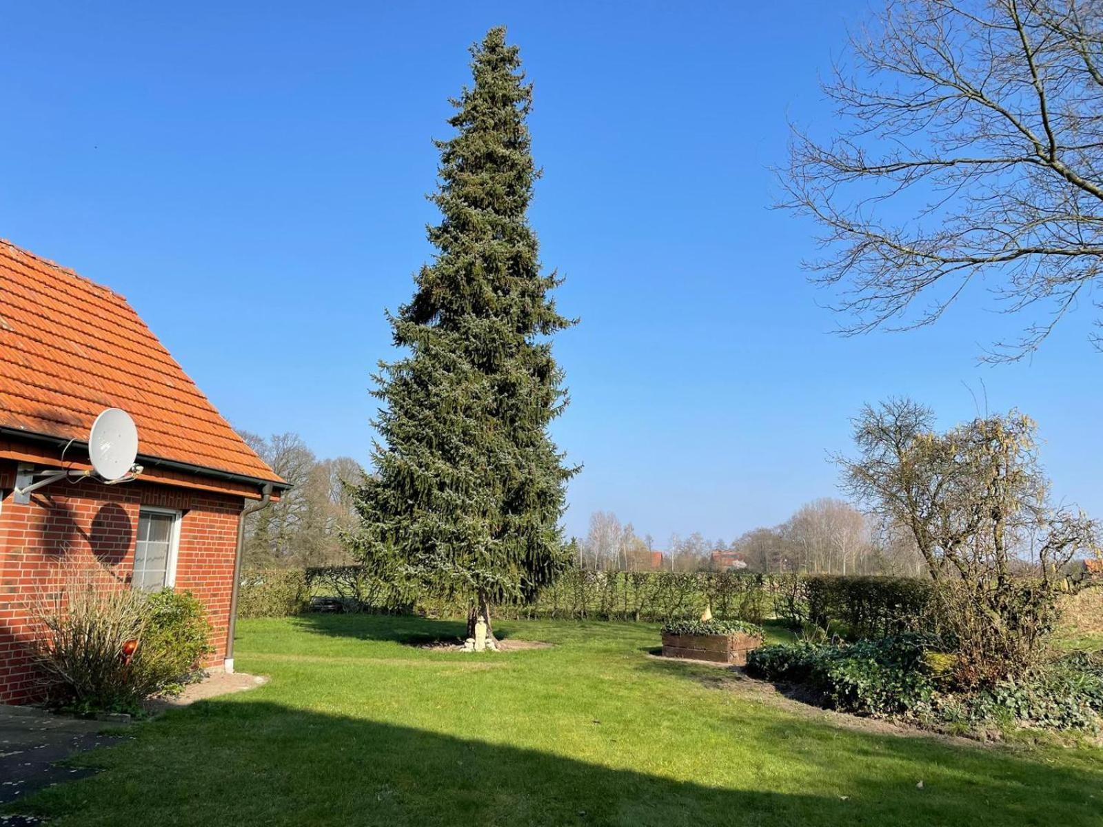 Ferienwohnung Kiebitzheide Beelen المظهر الخارجي الصورة